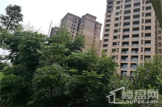合力达卓越南城实景图