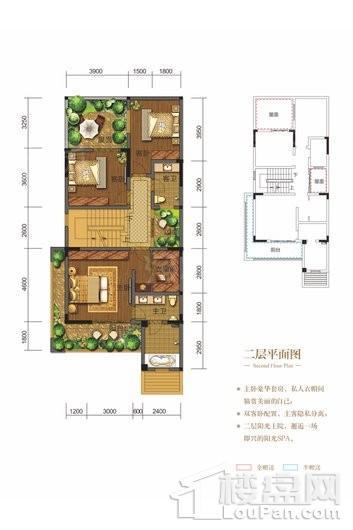 棠湖泊林城别墅C6-2户型 4室2厅4卫1厨