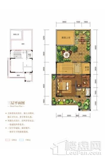 棠湖泊林城别墅C6-3户型 4室2厅4卫1厨