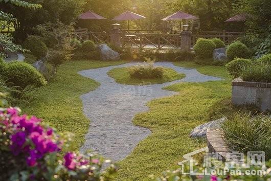 棠湖泊林城实景图