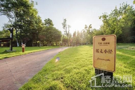 棠湖泊林城实景图