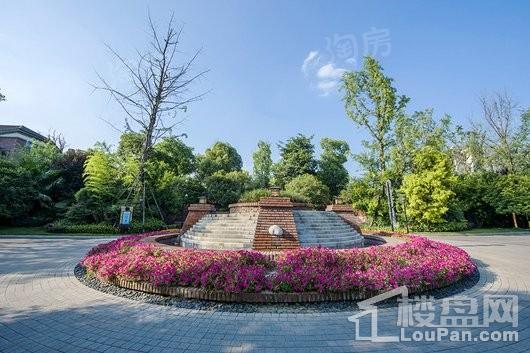 棠湖泊林城实景图