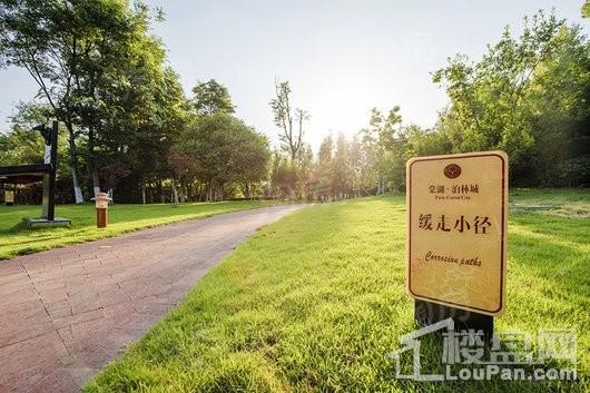 棠湖泊林城实景图