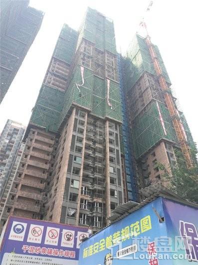 海伦春天实景图