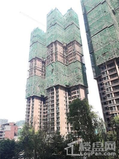 海伦春天实景图