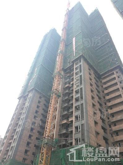 海伦春天实景图