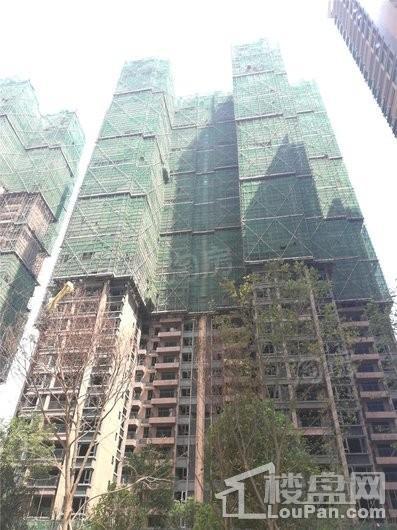 海伦春天实景图