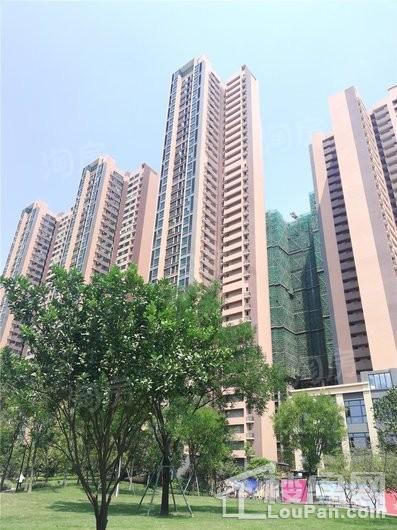 海伦春天实景图