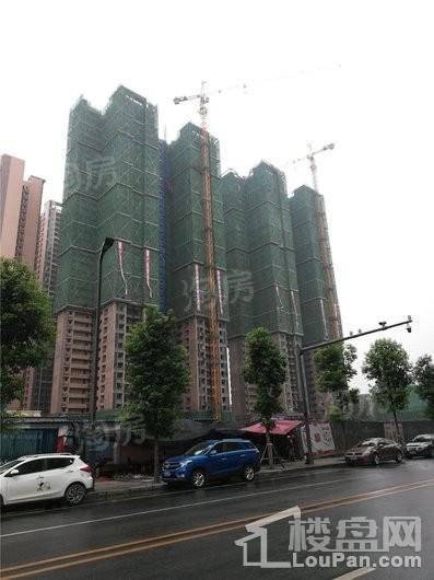 海伦春天实景图