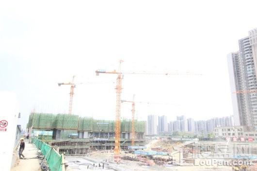 朗基和今缘实景图