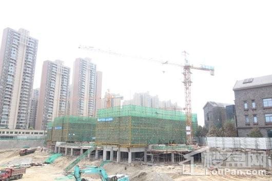 朗基和今缘实景图