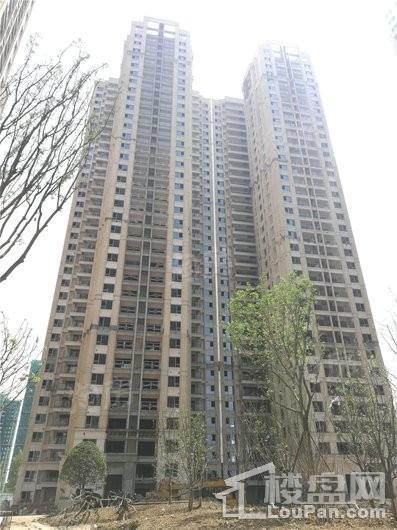 万科翡翠公园实景图