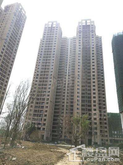 万科翡翠公园实景图