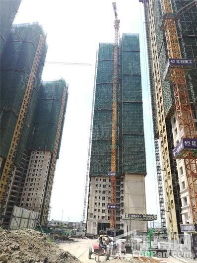 万科翡翠公园实景图