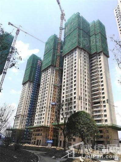 万科翡翠公园实景图