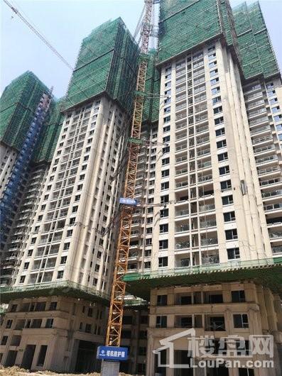 万科翡翠公园实景图