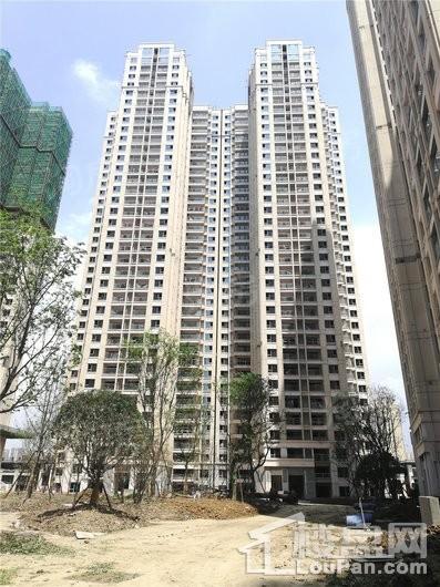 万科翡翠公园实景图