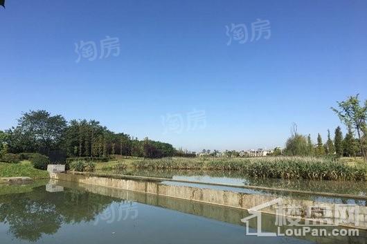 保利两河院子实景图