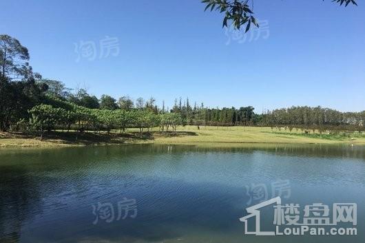 保利两河院子配套图