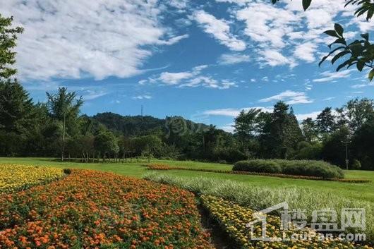 陇海三郎旅游度假区实景图