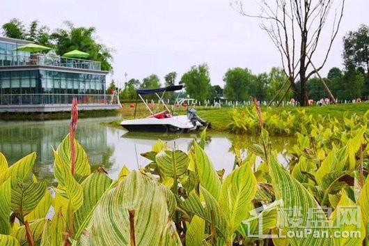 陇海三郎旅游度假区实景图