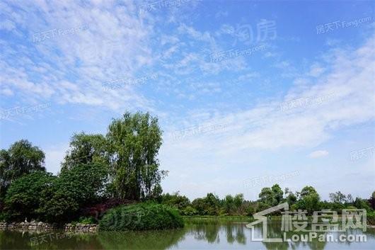 陇海三郎旅游度假区配套图