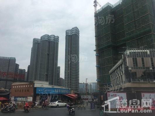 红树湾实景图