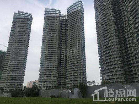 红树湾实景图