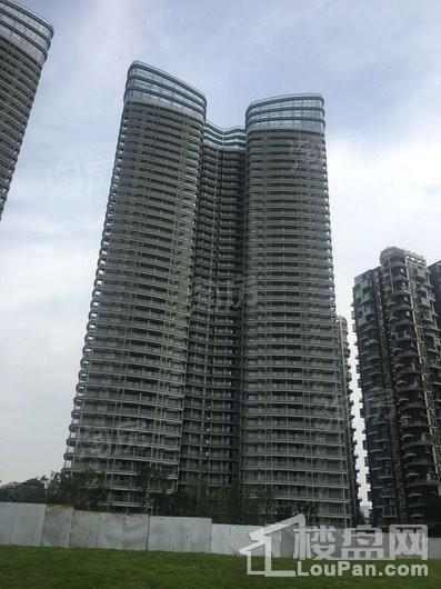 红树湾实景图