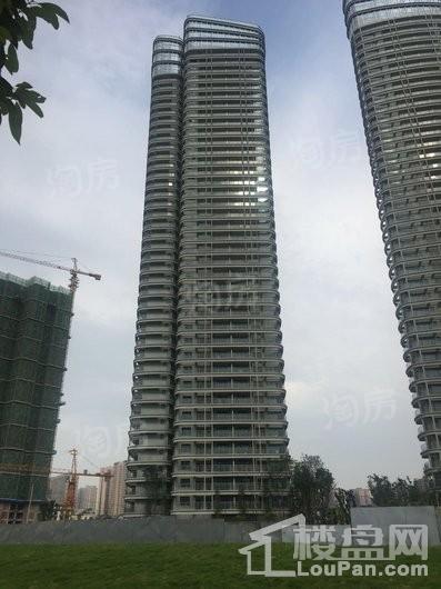 红树湾实景图