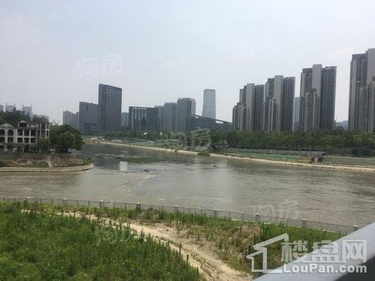 红树湾配套图
