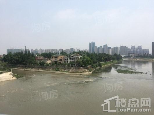 红树湾配套图