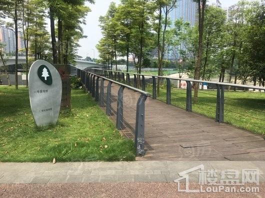 红树湾配套图