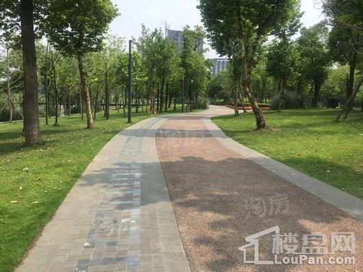 红树湾配套图