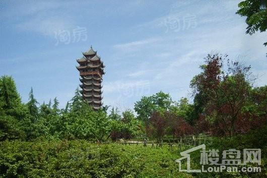 恒大望江华府配套图