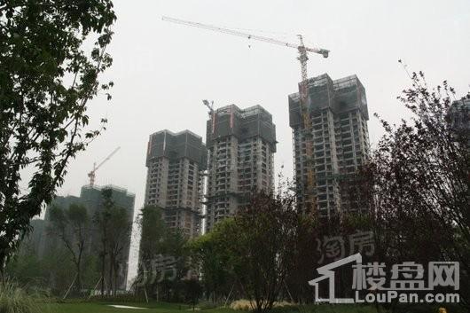 恒大上林苑实景图