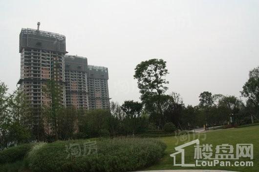 恒大上林苑实景图