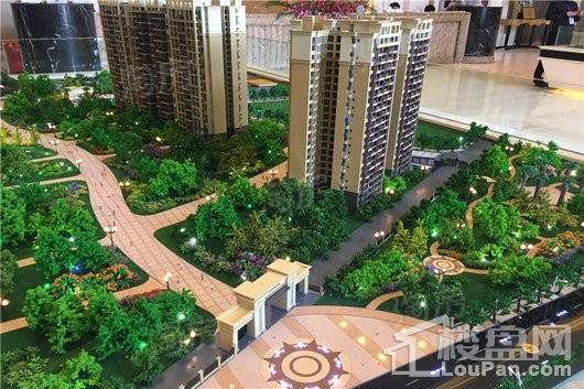 成都后花园蝶院实景图