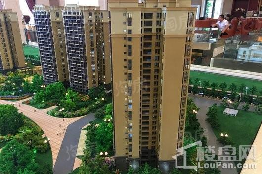 成都后花园蝶院实景图