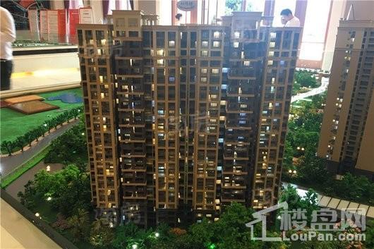 成都后花园蝶院实景图