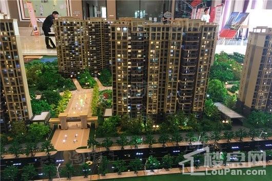 成都后花园蝶院实景图
