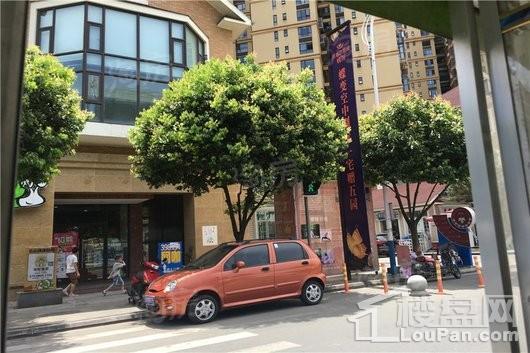 成都后花园蝶院配套图