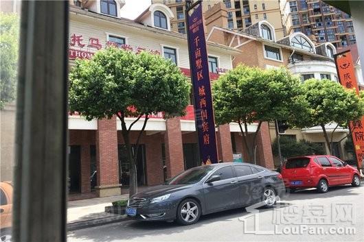 成都后花园蝶院配套图