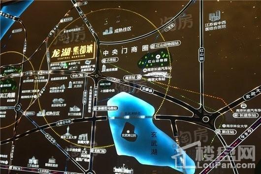 龙湖紫都城实景图