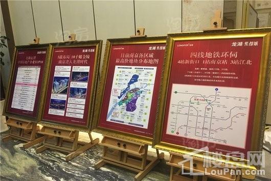 龙湖紫都城实景图
