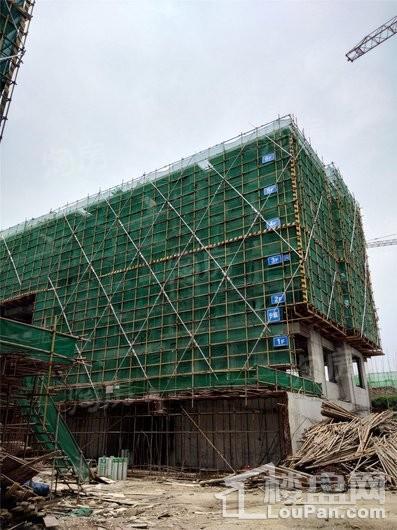 金辉新城半岛云著实景图