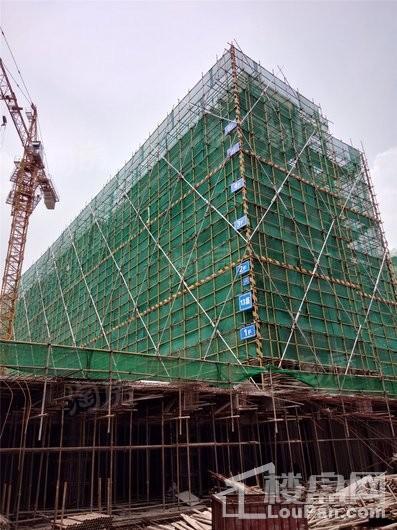 金辉新城半岛云著实景图