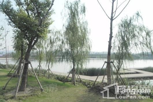 正荣中心天寓配套图