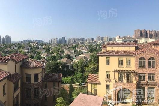 和贵南山上实景图