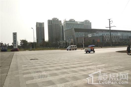 碧桂园海德公园实景图